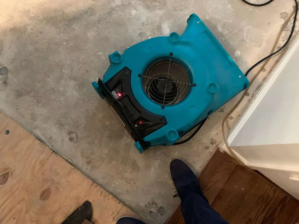 Air mover drying subfloor during Leak Detection & Repair in Marlene Village
